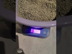 PE300 Desicante de plástico Masterbatch Moldeado por inyección de polietileno portador